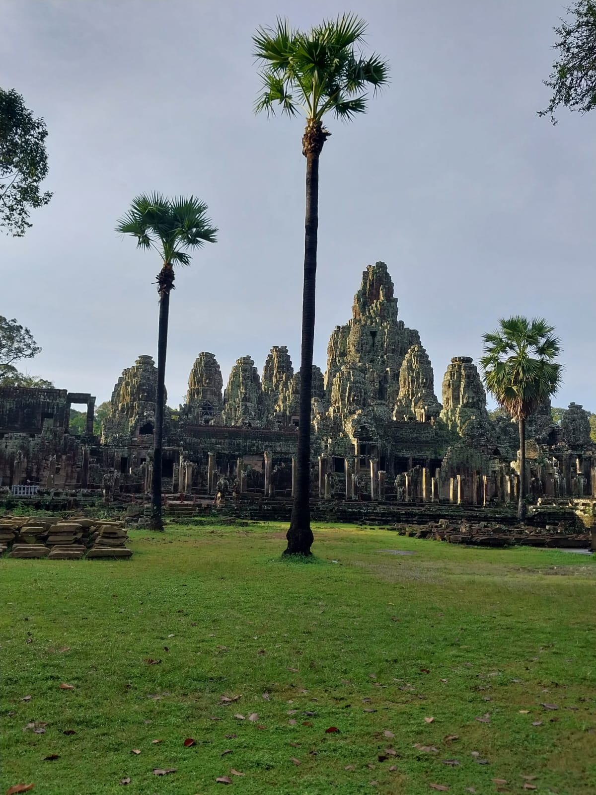 WhatsApp Image 2024-02-20 at 10.52.08 (1)