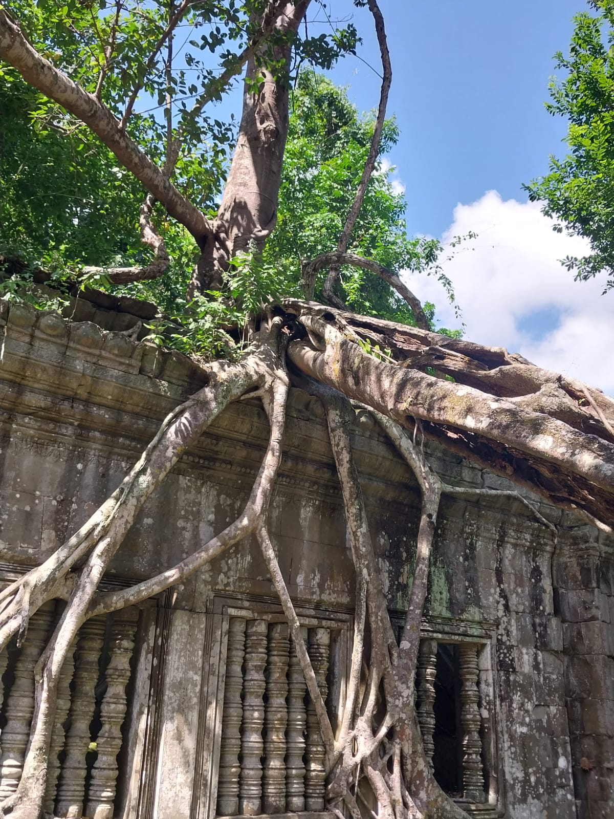 WhatsApp Image 2024-02-20 at 10.52.08