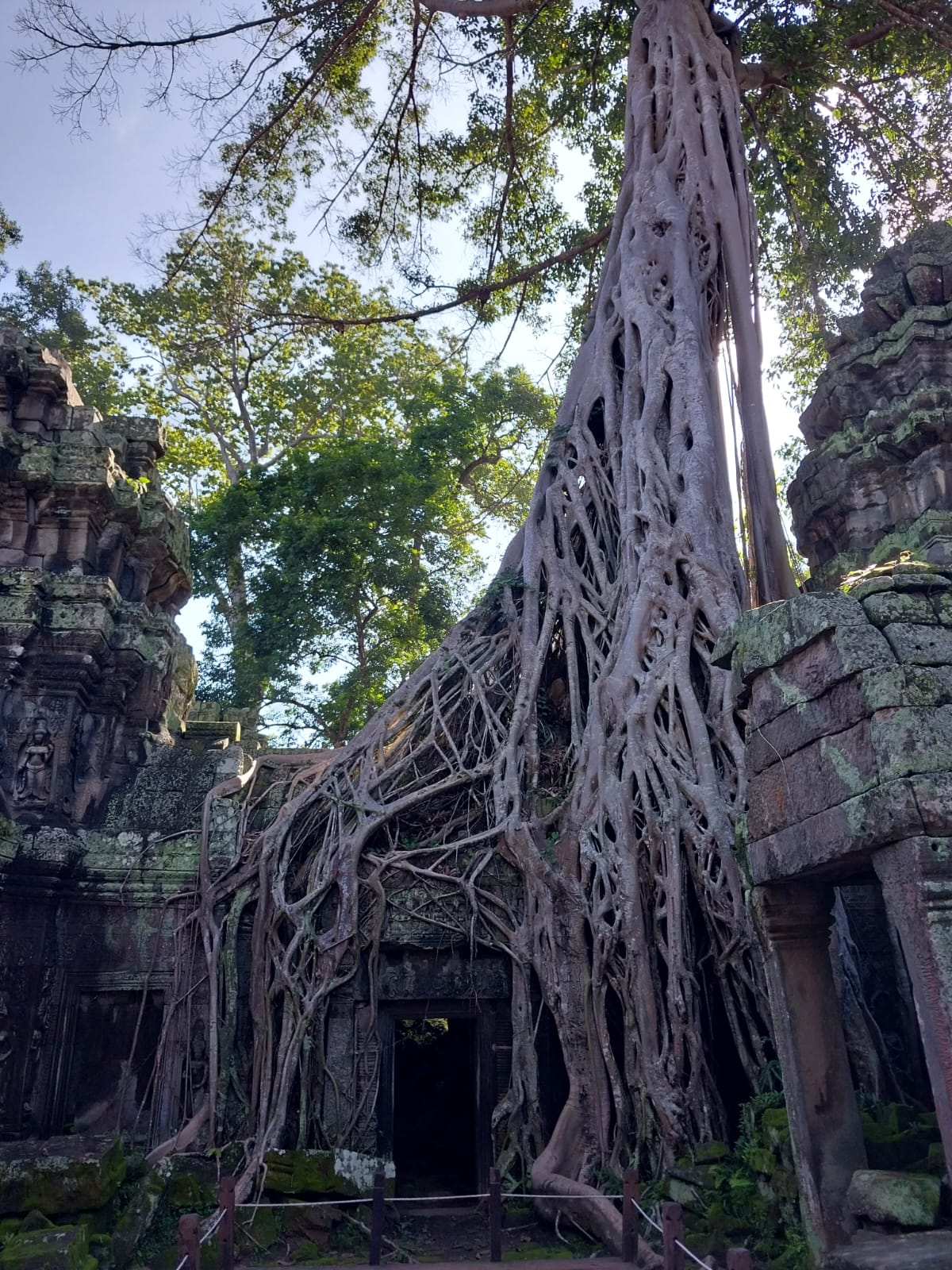 WhatsApp Image 2024-02-20 at 10.52.09