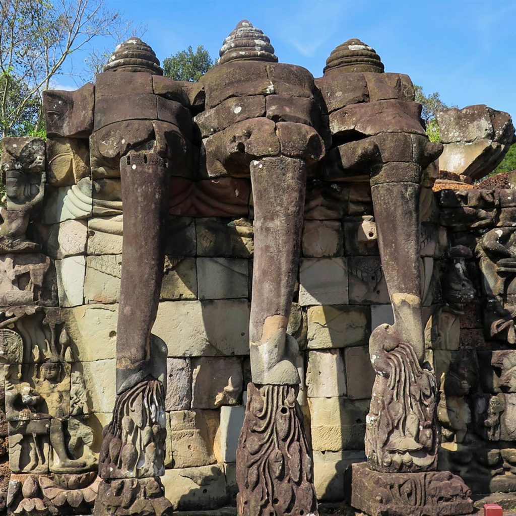 Elephant Terrace